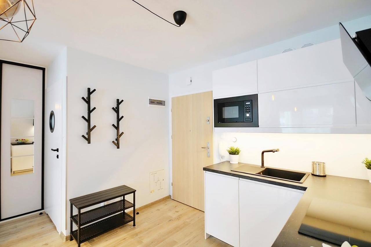 Apartament Andar Z Miejscem Parkingowym コウォブジェク エクステリア 写真